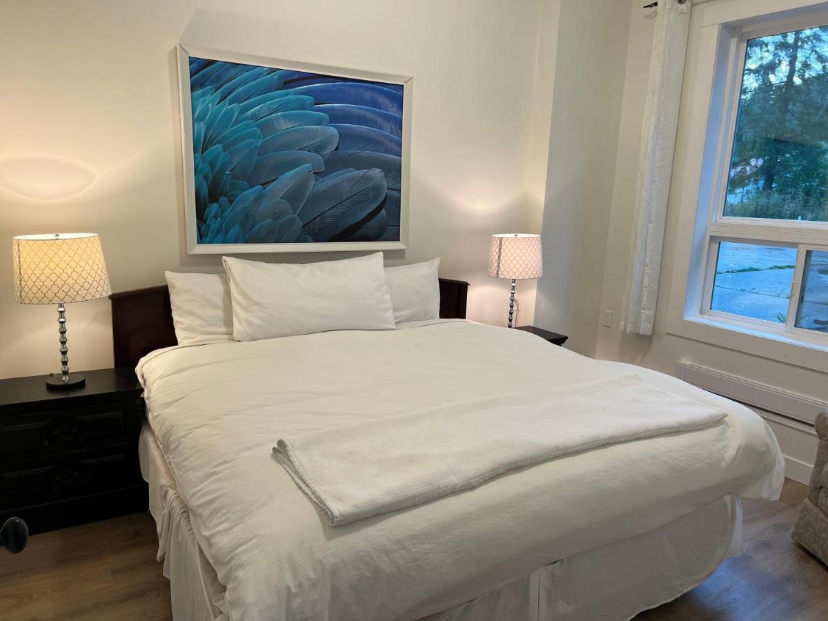 Country Home, Sleeps 6 Pets Friendly 艾伯尼港 外观 照片